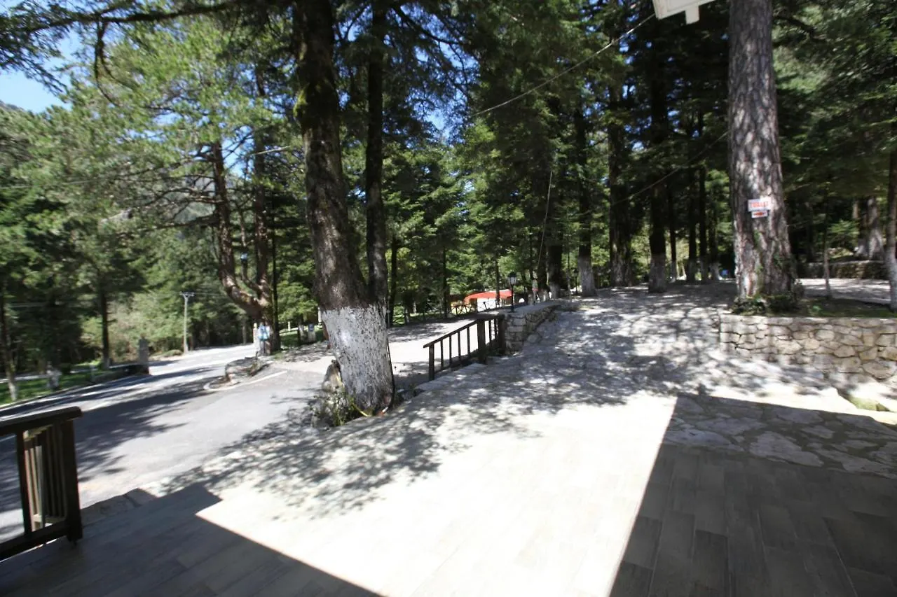 Bujtina Uji I Panjes, Log Cabins Dukat Albania